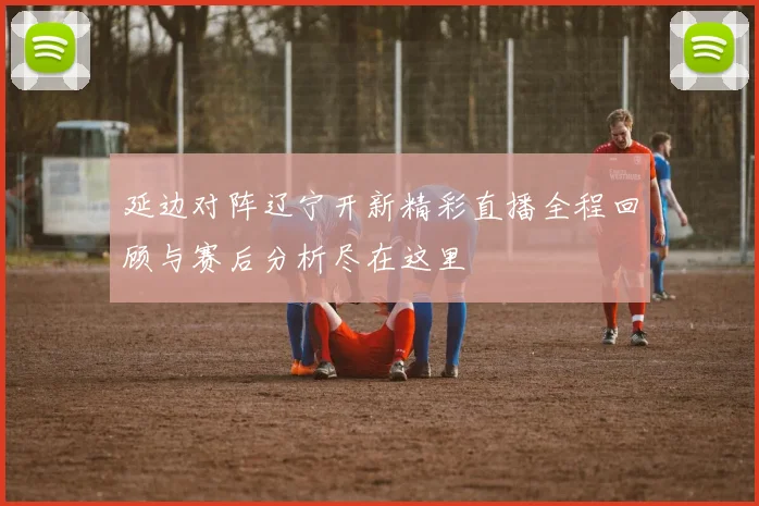 延边对阵辽宁开新精彩直播全程回顾与赛后分析尽在这里