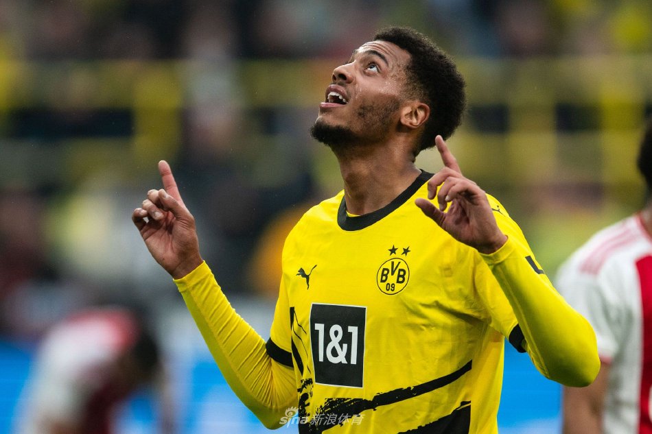 雄鹿的轻敌 雄鹿的轻敌